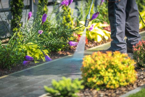 Best Fence Cleaning  in Greenock, PA